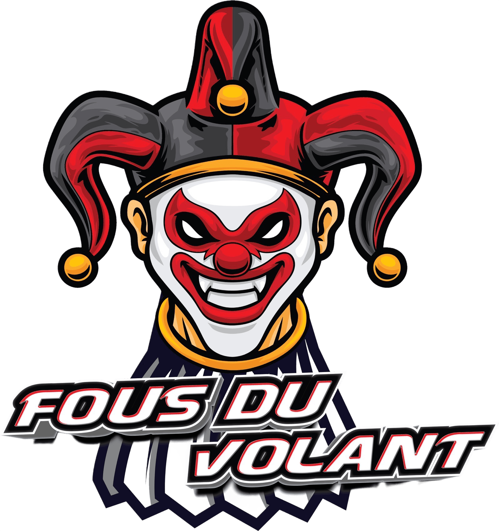 Fous_du_volant_logo