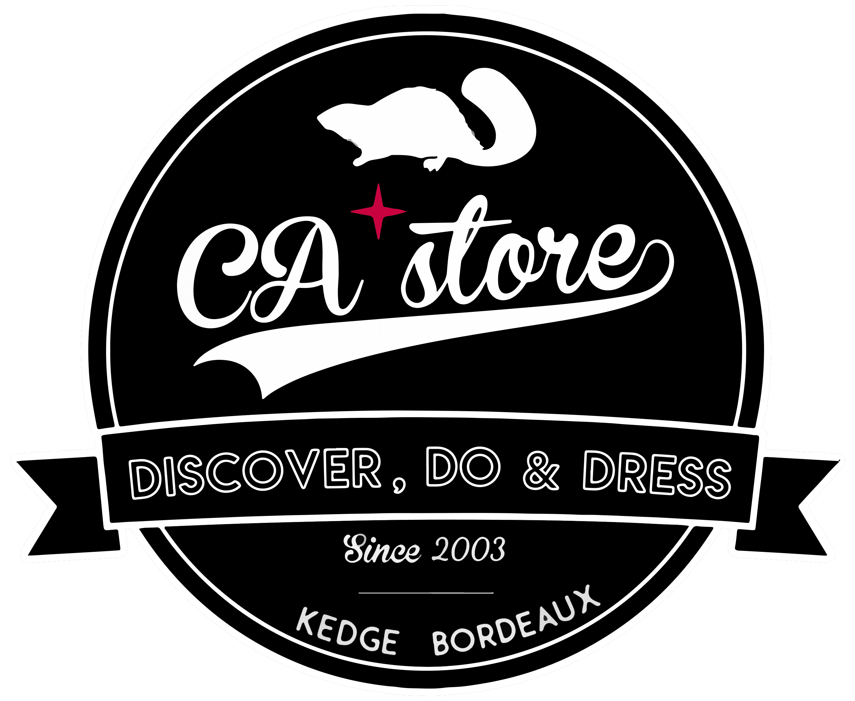 Logo CA'Store