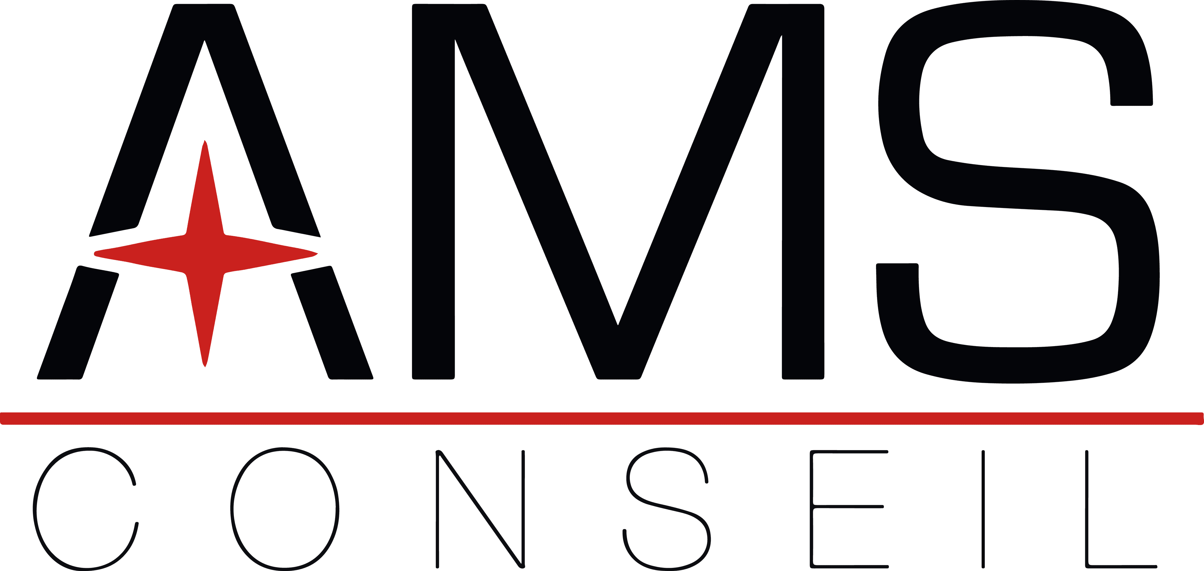 Logo AMS